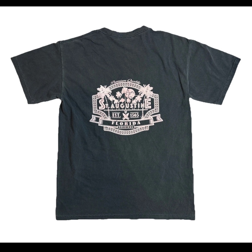 Comfort Colors Y2K St‎ Augustine Florida Graphic Tee Mens Medium Washed Green